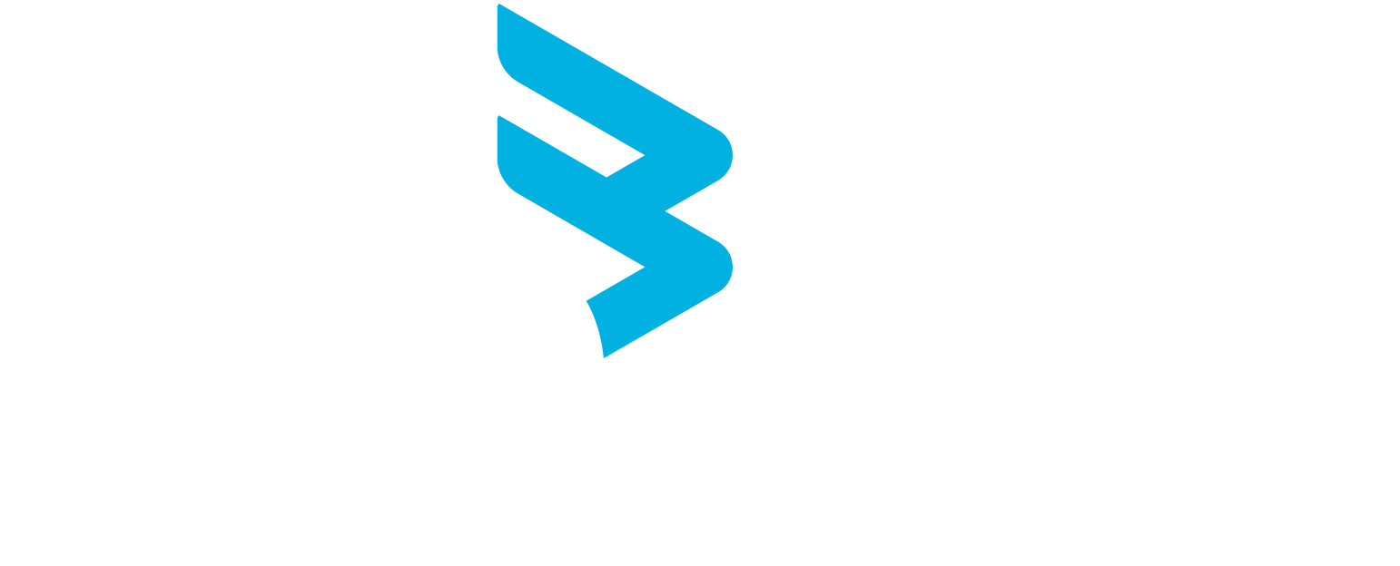 LIS Data Solutions logo